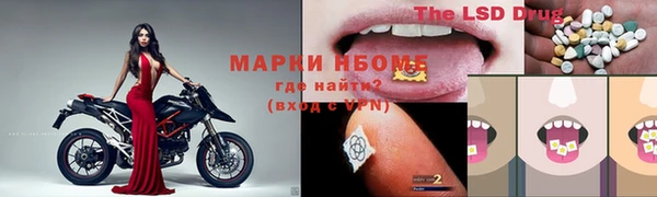 индика Надым
