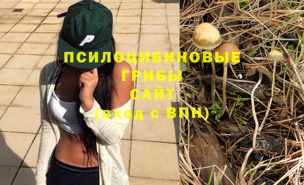 мдпв Михайловка