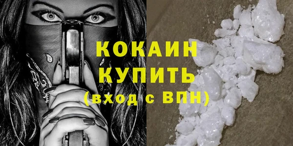 индика Надым