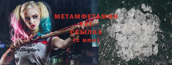 индика Надым