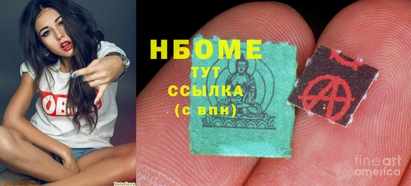 индика Надым
