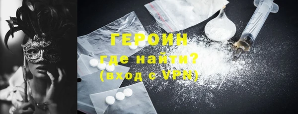 индика Надым