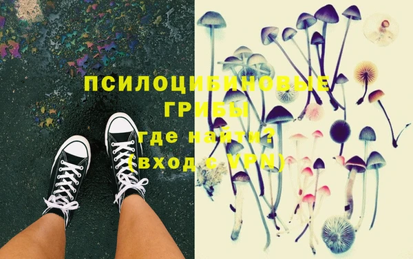 индика Надым
