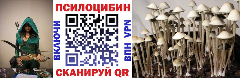 где продают наркотики Катайск Псилоцибиновые грибы мухоморы